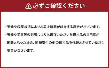 【令和7年産】〈白米〉 雪若丸 10kg ＜1回のお届け＞  山形県産 精米 【2025年11月上旬発送開始予定】