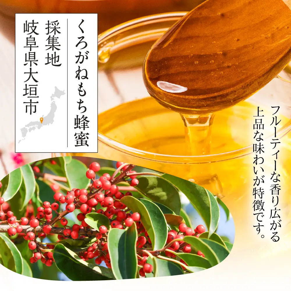 はちみつ 2種セット 450ｇ×2本 純粋国産 ｜はちみつ