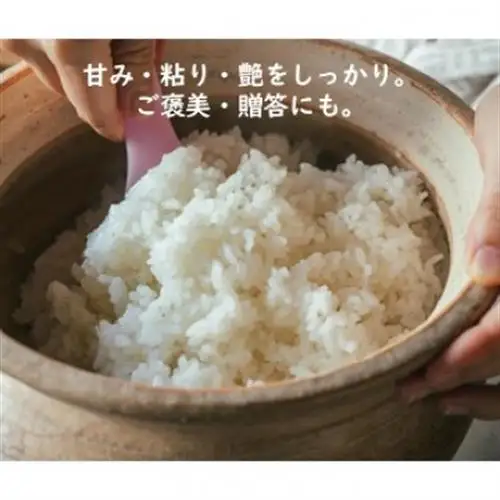 有機米コシヒカリ白米「棚田tanada」有機JAS認証米　3kgサイズ【1560111】