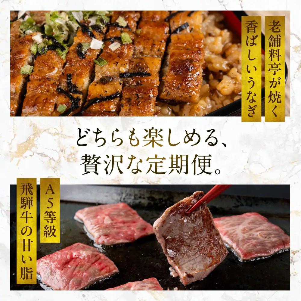 フルコース定期便 老舗料亭うなぎ × A5飛騨牛