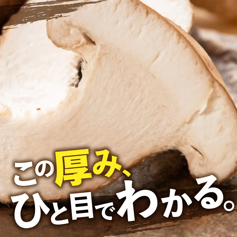 生しいたけ 1kg | しいたけ
