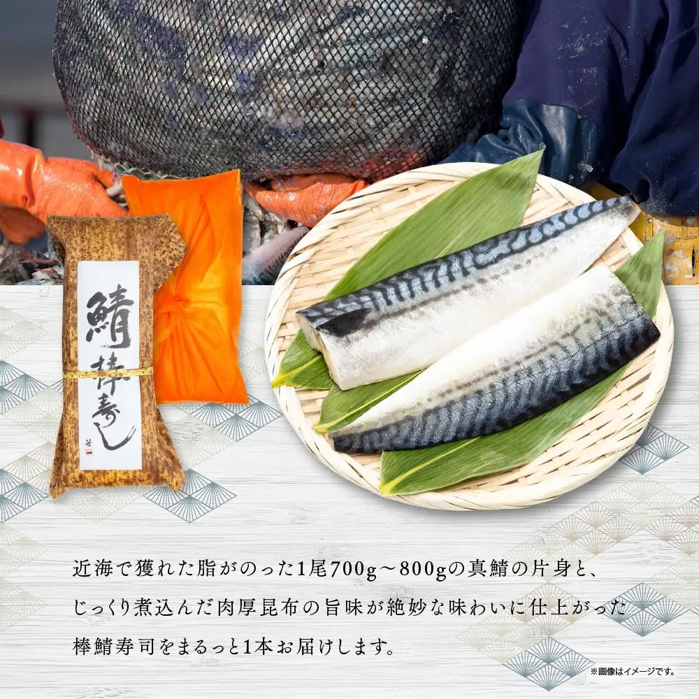 紀州和歌山の棒鯖寿司 2本 ［TM223］