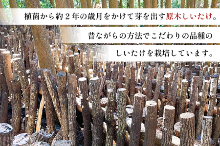 国産 特上 原木 乾燥 しいたけ 肉厚どんこ 170g
