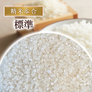 令和8年産米 コシヒカリ 10kg（標準）新米 こしひかり