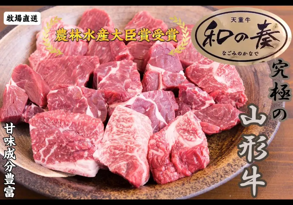 農林水産大臣賞受賞 特選 天童牛 和の奏 煮込み用 600g 山形牛 08-27-008