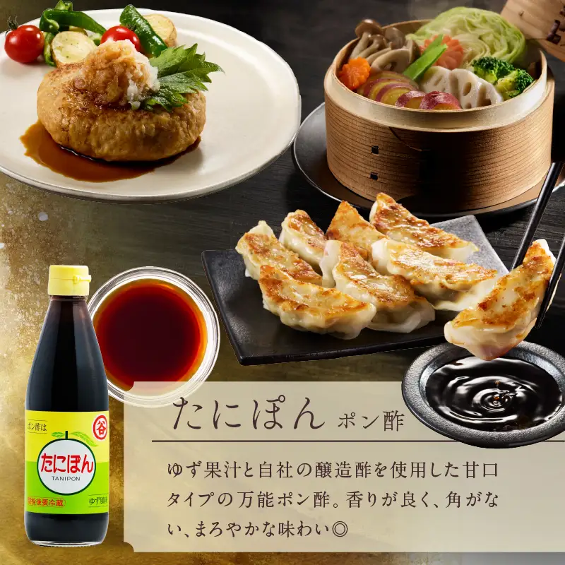ポン酢＆麺つゆセット(合計2本) 食品 加工品 万能調味料 めんつゆ 九州醤油 ゆず果汁 甘口 カツオ風味 2倍濃縮 餃子のタレ 肉料理 野菜料理 炒め物 だし巻き卵 詰め合わせ おすすめ ギフト プレゼント 贈り物 おすそ分け 宮崎県 日南市 送料無料_ZZ25-25