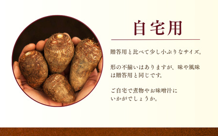 里芋 堀兼の里芋 自宅用  2.5㎏ | 市川農園 狭山市 埼玉県