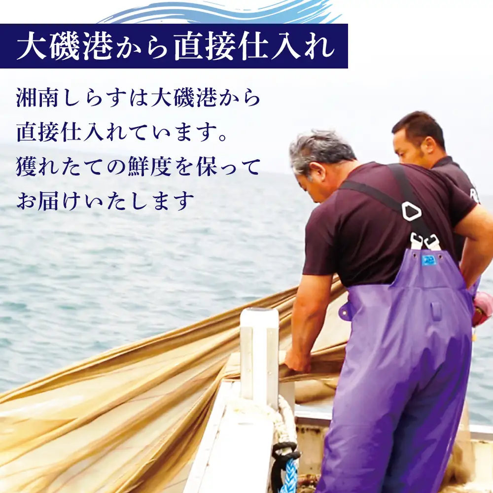 湘南しらす　3色セット｜魚介 湘南産しらす 食べ比べ 人気 おすすめ しらす 小魚 海産物 おつまみ 冷凍 食品 加工品 おすすめ 人気 送料無料 神奈川県 小田原市