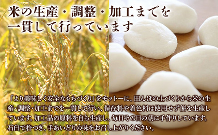 【期間・数量限定】冷凍あんもち6ヶ入×2 | もち あんもち 餅 生もち 杵つきもち 大分県産 もち米 九州産 国産 冷凍 大分県 中津市