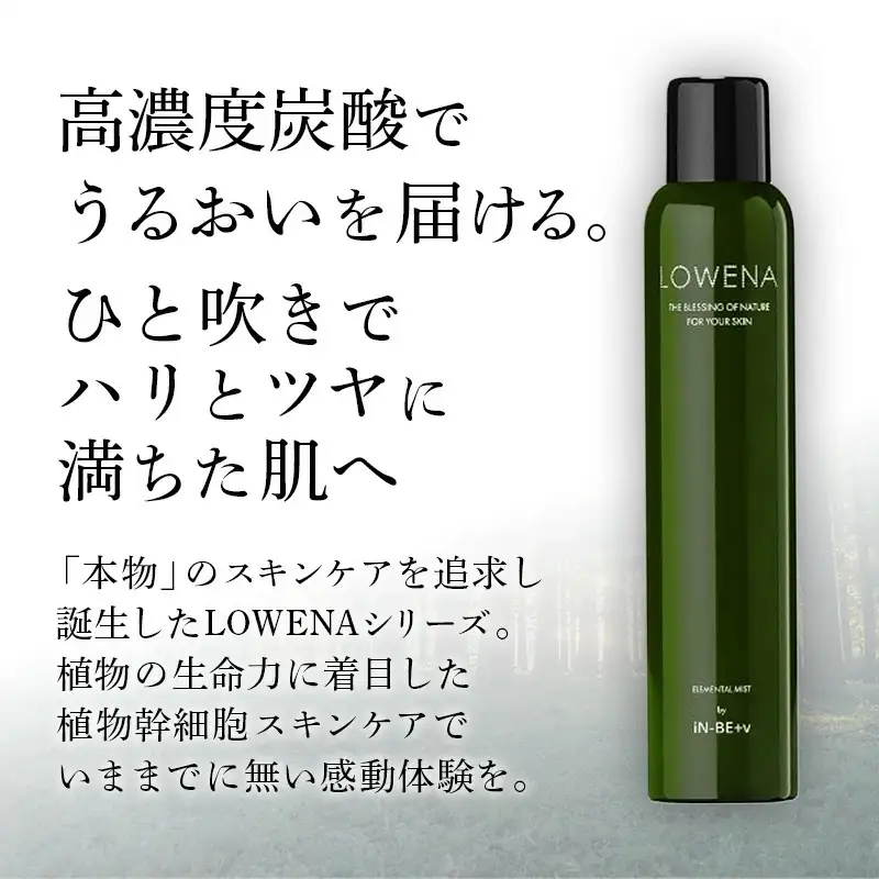 ロウェナエレメンタルミスト150g - 炭酸 スキンケア 美肌 化粧水 