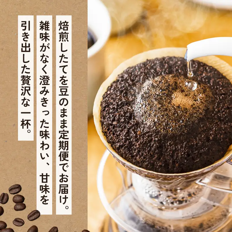 【3ヶ月定期便】 自家焙煎珈琲 こだわりコーヒー豆 400g×3回 （200g×2袋 毎月3回）