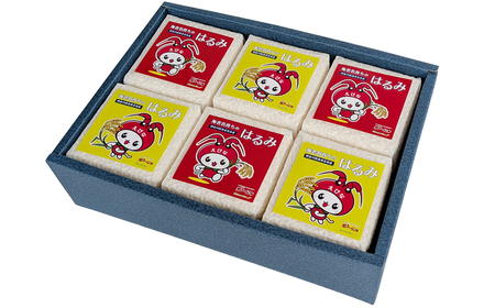 米 小分け はるみ 真空 300g × 6個 お米 おこめ【  おこめ  】