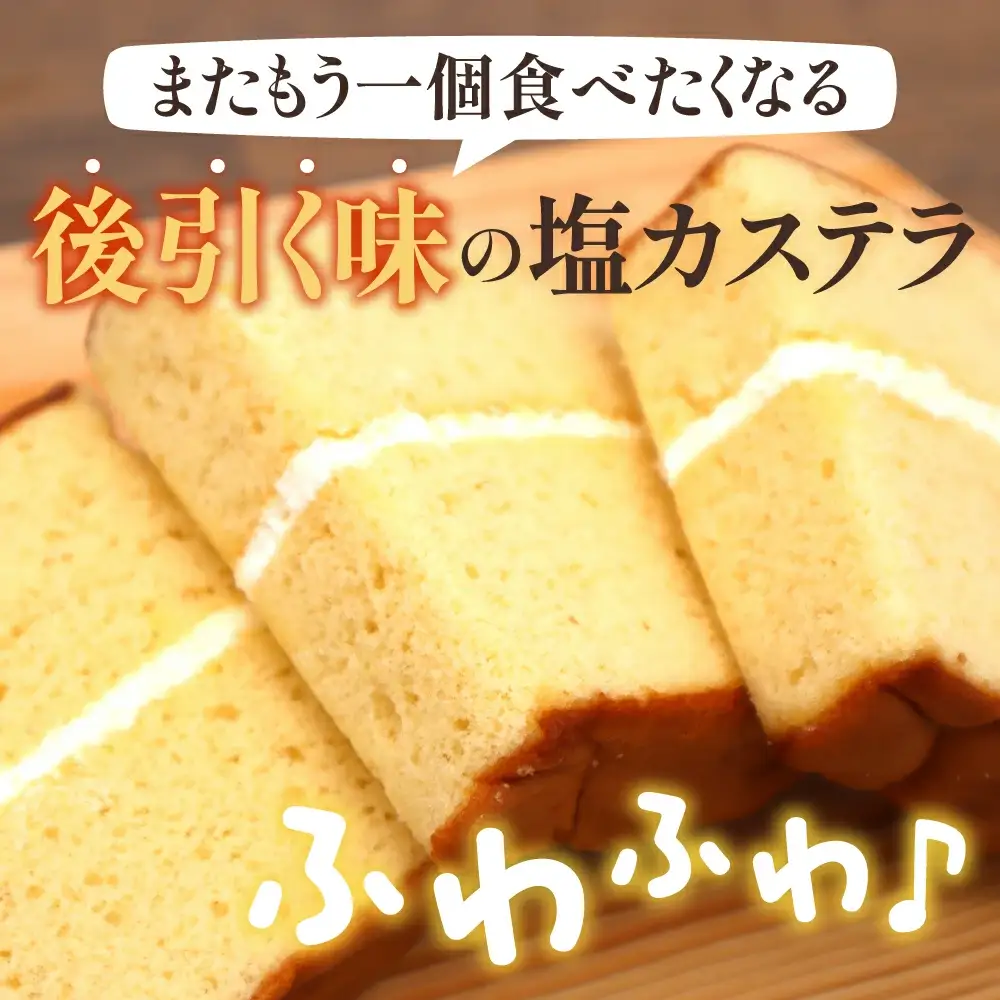 塩カステラ てんどう小町 18個入り スイーツ お菓子 カステラ