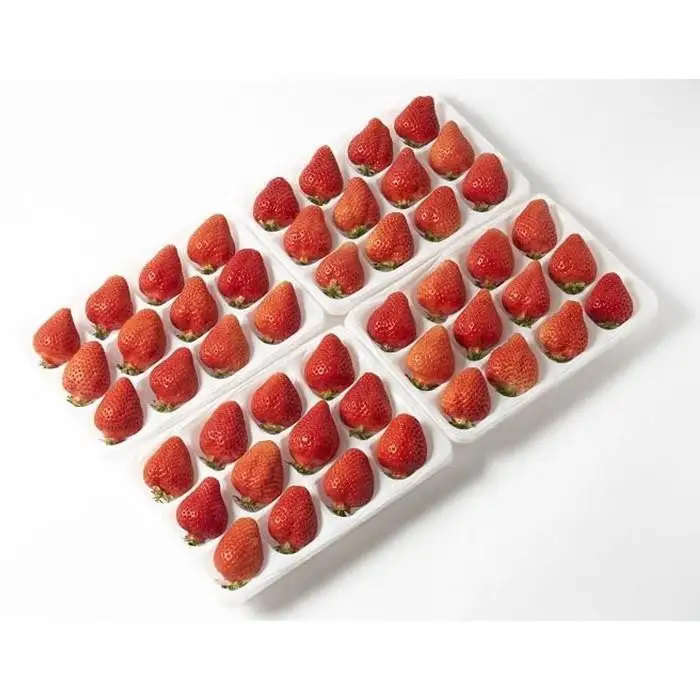 【2027年1月～2月出荷予定】完熟 あまおう イチゴ 350g×4パック(約1400g)＜配送不可：北海道、沖縄県、離島＞