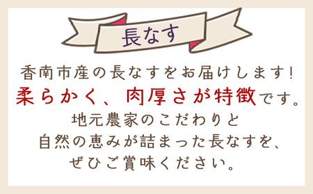 【2026年10月中旬以降発送】長なす １ｋｇ 家庭用 yr-0070