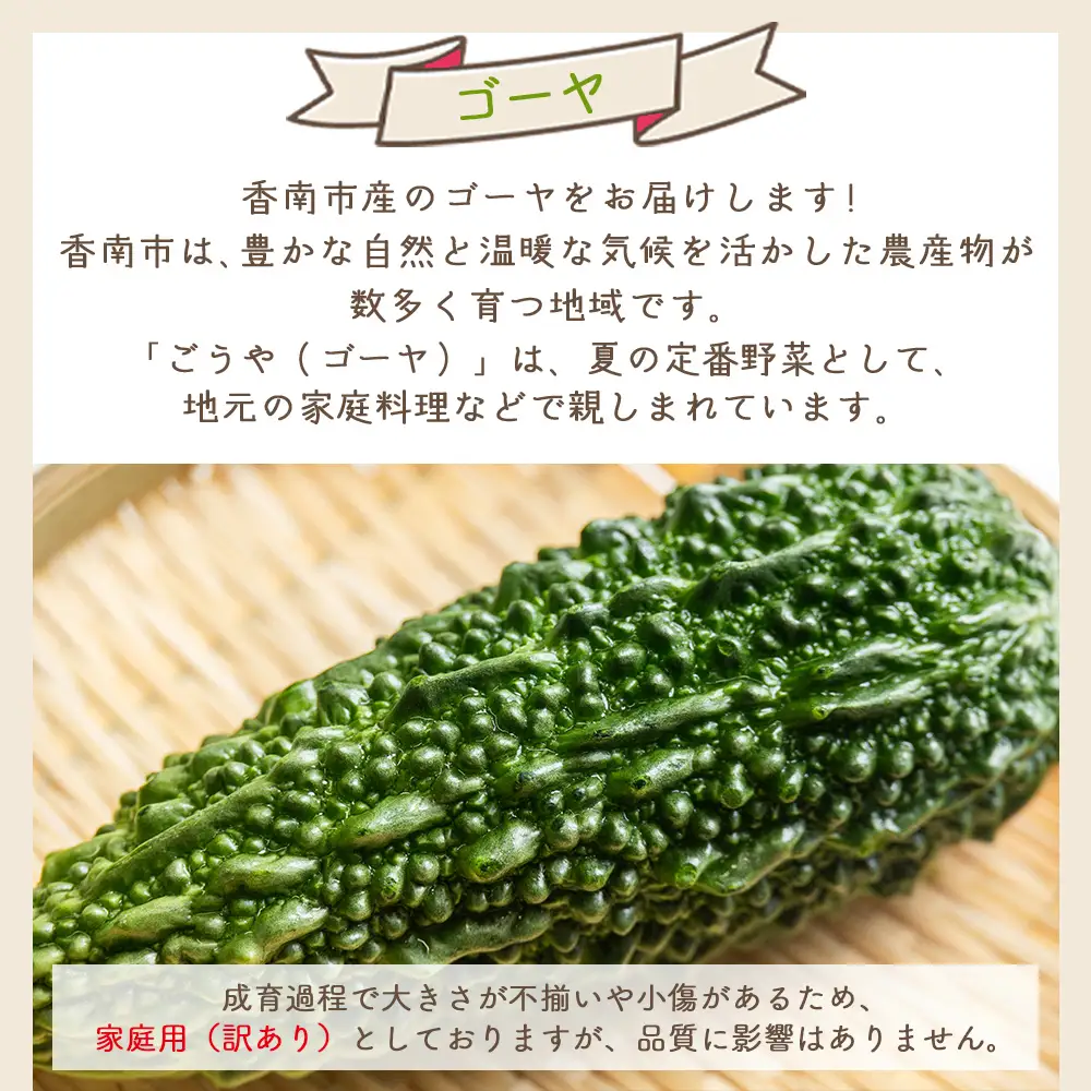 【2026年10月以降順次発送】ゴーヤ ３ｋｇ 家庭用 ゴーヤ yr-0075
