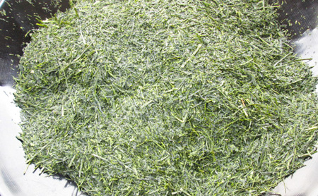 お茶 高級煎茶 ゴールド太田園 100g×10 ミル芽 厳選 ブレンド 日本茶 煎茶 味わい深い 旨味 コク 渋み 通好み 贈り物 ギフト プレゼント 島田市 静岡県