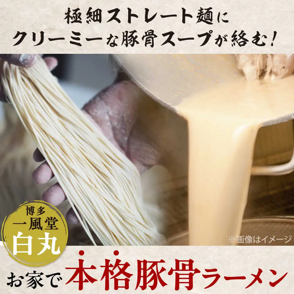 【全6回定期便】ラー麦使用「一風堂」とんこつラーメン 白丸(8食)[BGAD032]