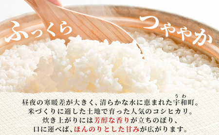 ＜令和7年産 コシヒカリ 5kg＞国産 白米 精米 5キロ 愛媛県産 宇和町産 宇和米 こしひかり お米 米 コメ こめ ご飯 うわまい ライス 特別乾燥米 産地直送 送料無料 特産品 福井ファーム 愛媛県 西予市【常温】『2025年12月中旬から順次発送予定』UFF0001