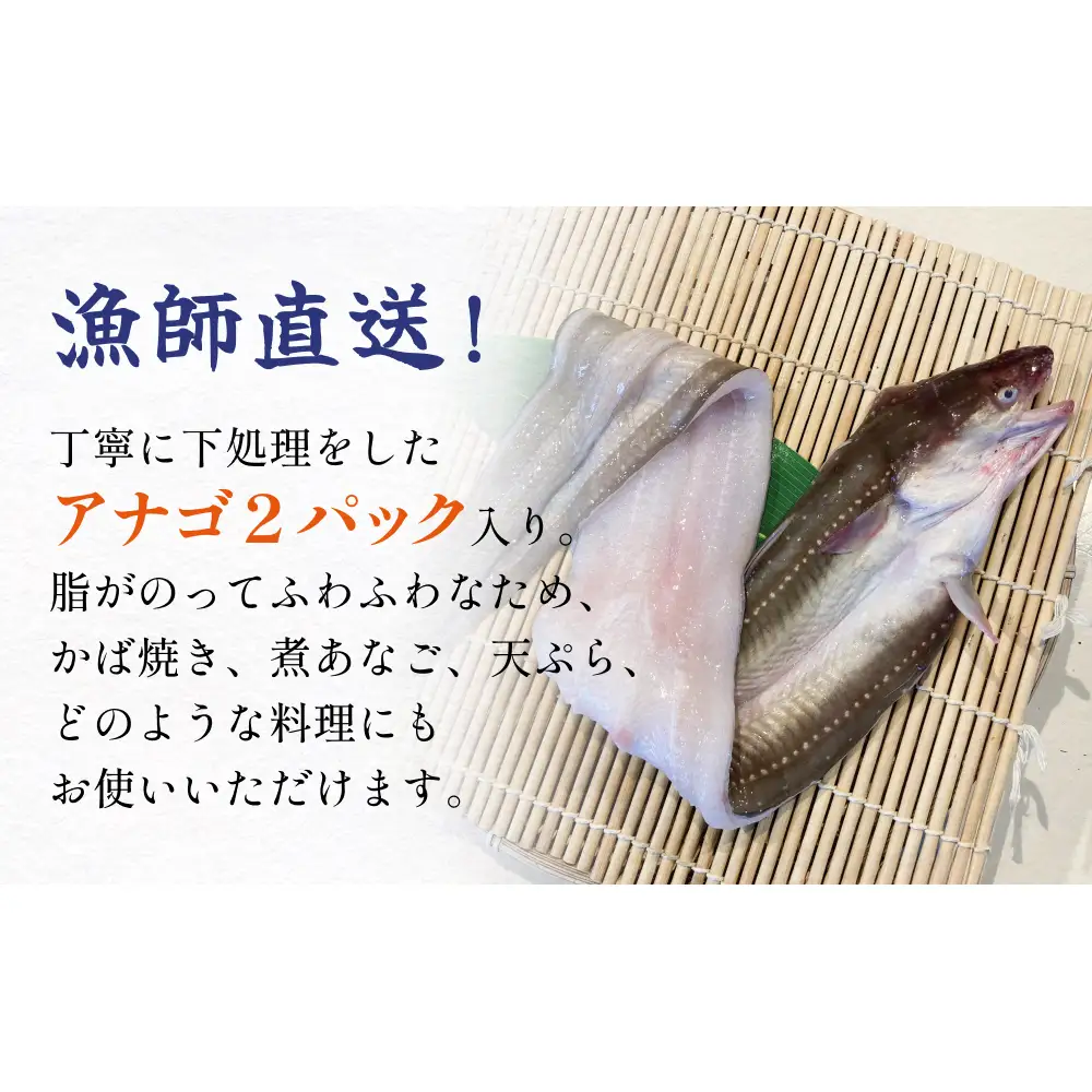 アナゴ 2パック 穴子 あなご 魚介 魚介類 海鮮 下処理済 直送 新鮮 冷凍 焼き物 煮付け フライ