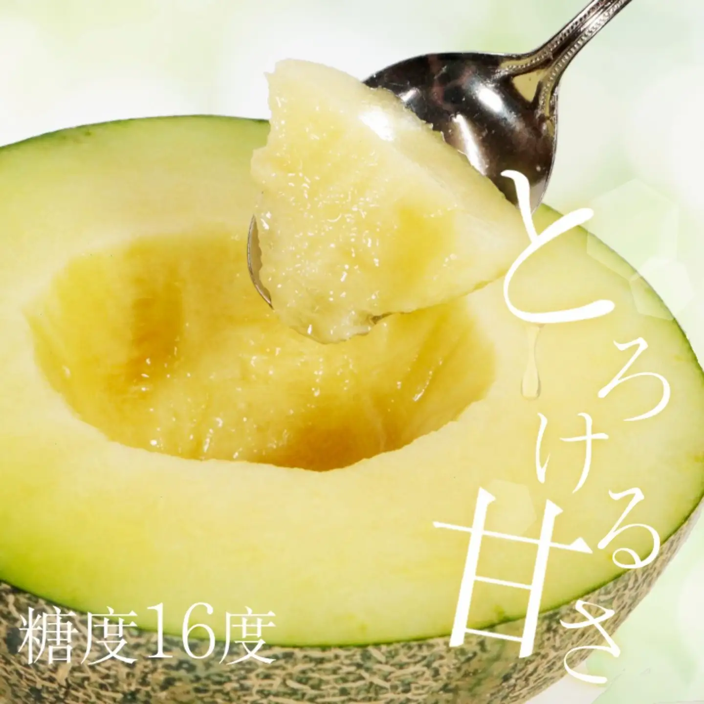 アムスメロン 2玉 メロン 【6月下旬～7月中旬発送】