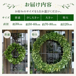 まさるおじさんのリーフリース(普通(直径：約30cm)・1点) リース リーフリース グリーンリース ナチュラルリース 天然素材 観葉植物 インテリア 壁掛けリース 玄関リース 成長リース 八意思兼命 知恵の神様 シンプルリース 新登場 【m56-01-A】【Porte-Bonheur】