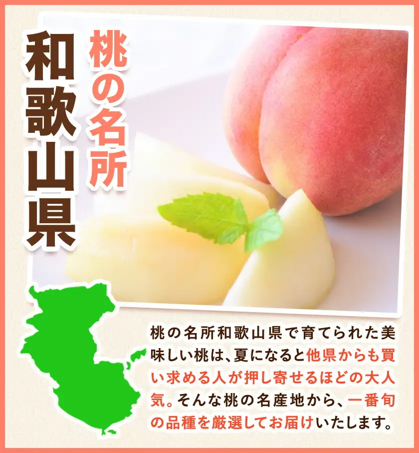 桃 紀の里の桃【2回定期便】約2kg×2回