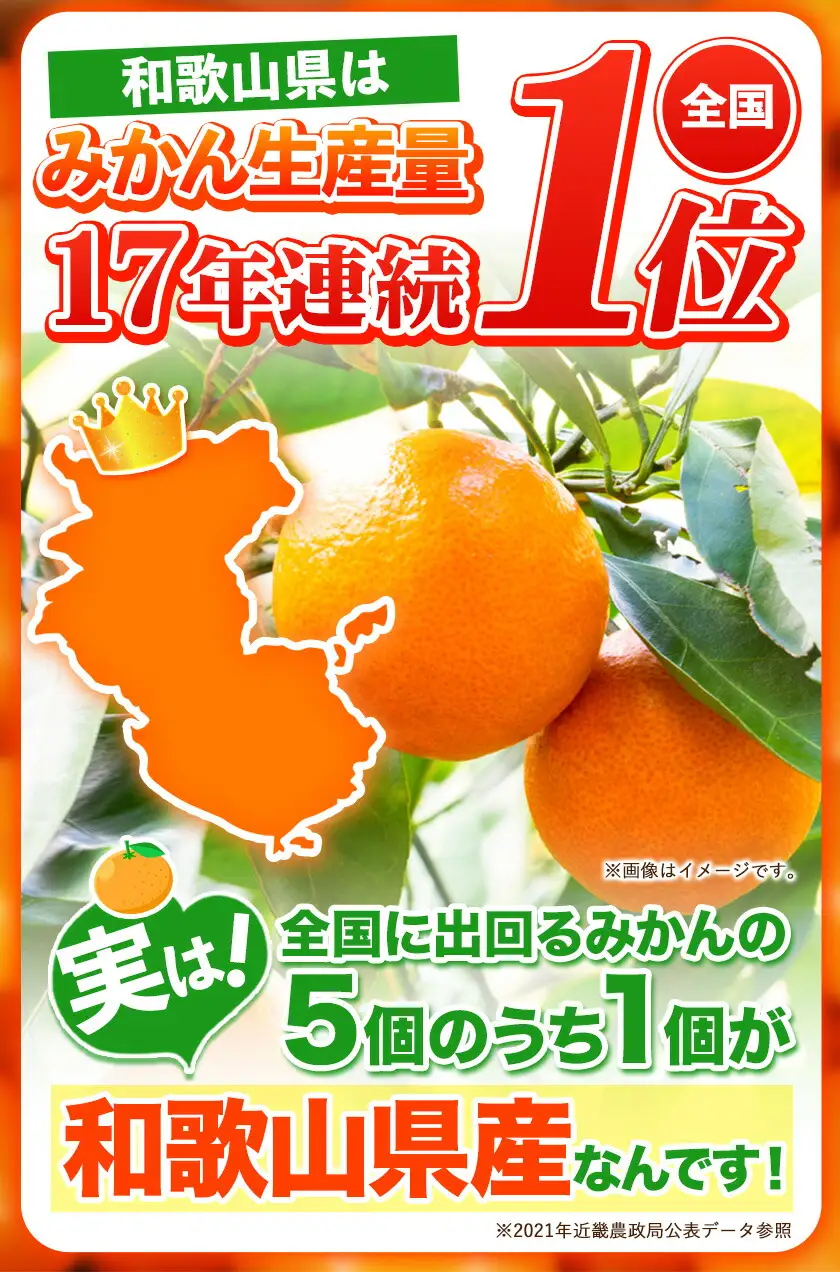 みかん ご家庭用みかん 約5kg