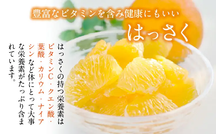 訳あり はっさく八朔 約9kg