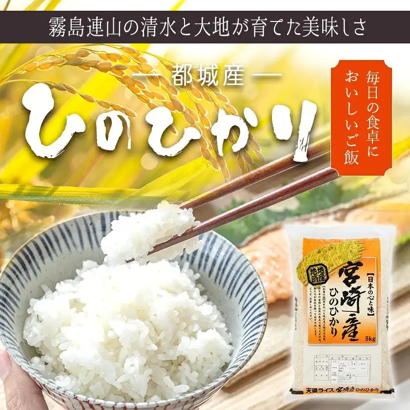 都城産ひのひかり10kg(5kg×2袋)〔24-A701〕_ お米