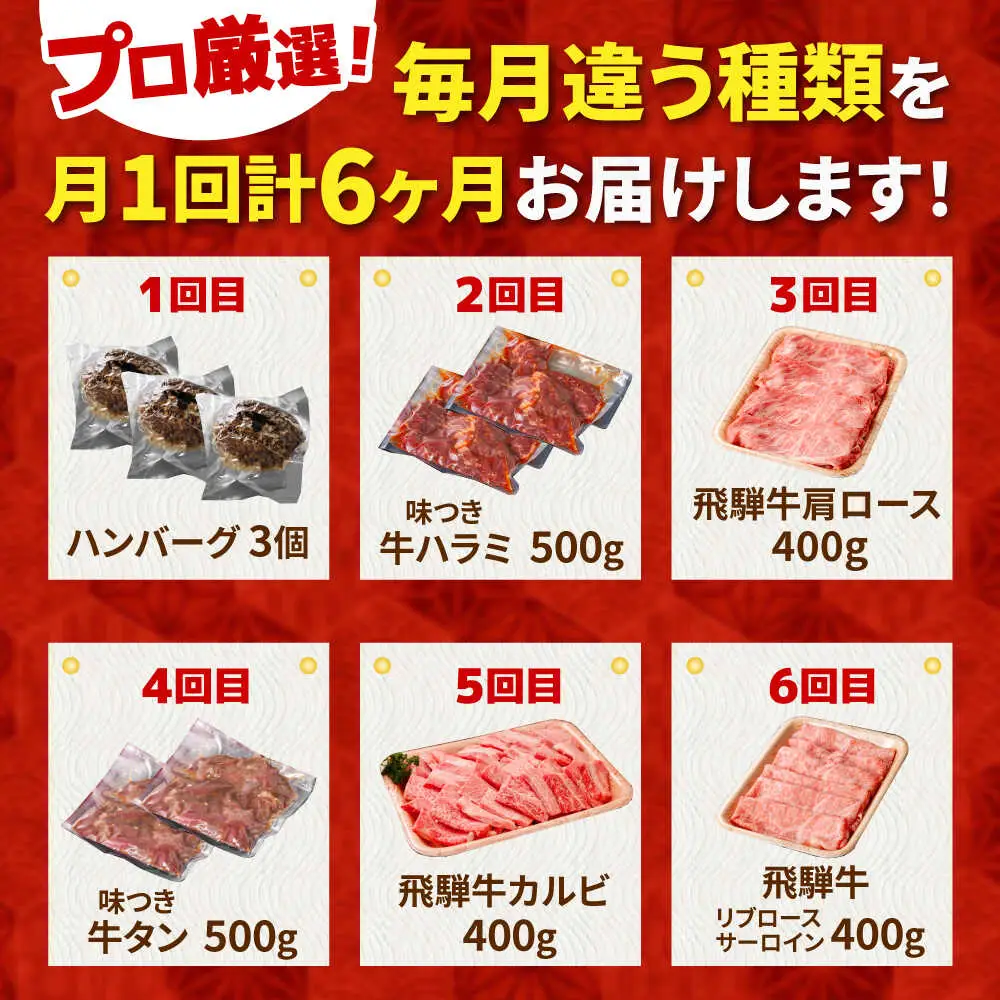 【6回定期便】馬力家セレクト 食卓ごちそう便 (お二人様向けコース) / ハンバーグ 牛タン 肉 詰め合わせ セット 飛騨牛 御嵩町 / 馬力家[AVBO072]