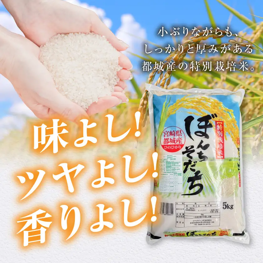 都城産ひのひかり特別栽培米「ぼんちそだち」10kg(5kg×2袋)〔21-N5-001-10kg〕_(都城市) 都城産 お米 10kg 5kg×2 ひのひかり ぼんちそだち