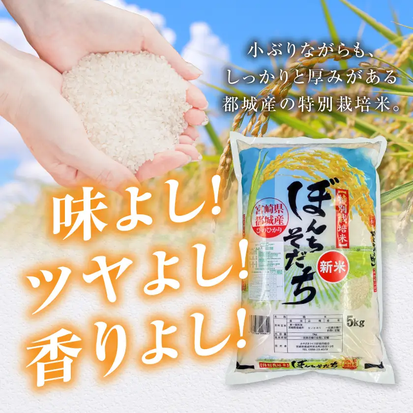 都城産ひのひかり特別栽培米「ぼんちそだち」5kg(5kg×1袋)〔12-N5-001-5kg〕_(都城市) 都城産 お米 5kg 5kg×1 ひのひかり ぼんちそだち
