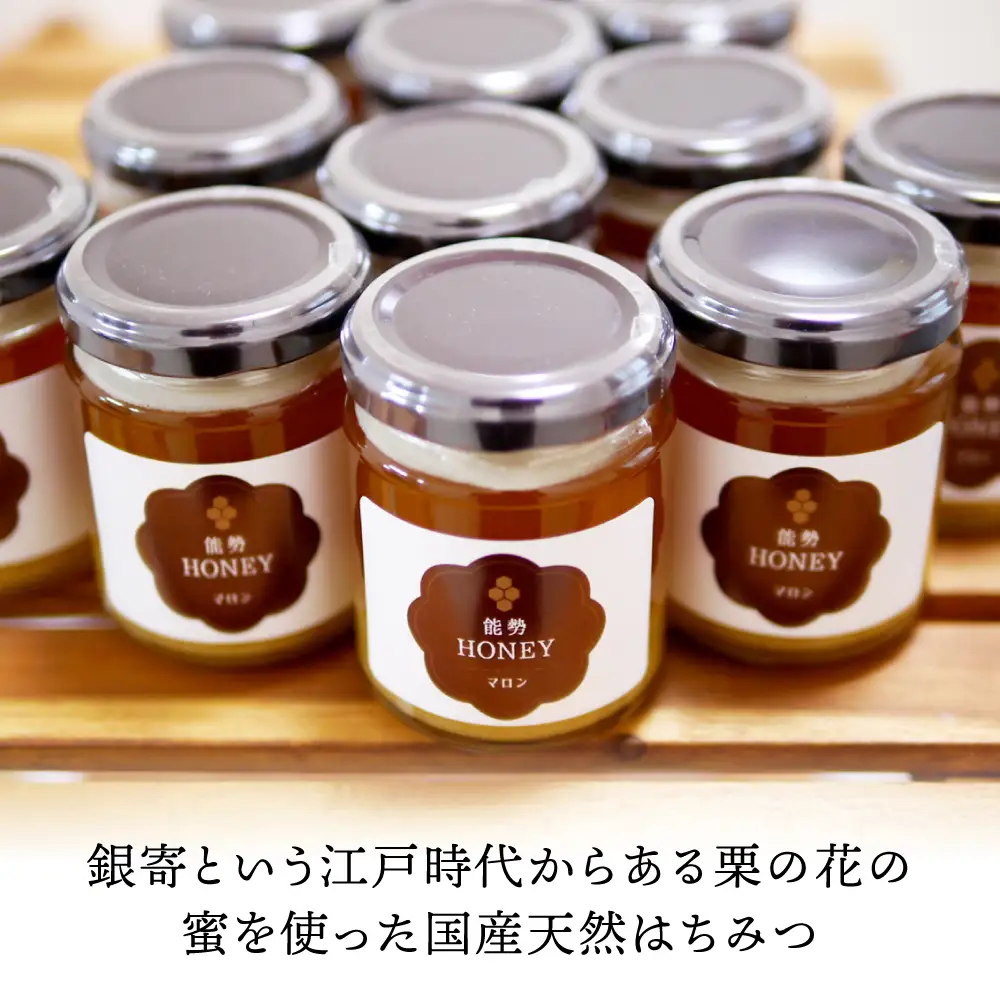 蜂蜜 能勢HONEY 160g×2本 [AOBA004] 蜂蜜