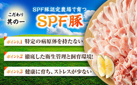 五島美豚 焼肉2kg (ロース1kg/バラ1kg) 五島市/ごとう農業協同組合[PAF053]