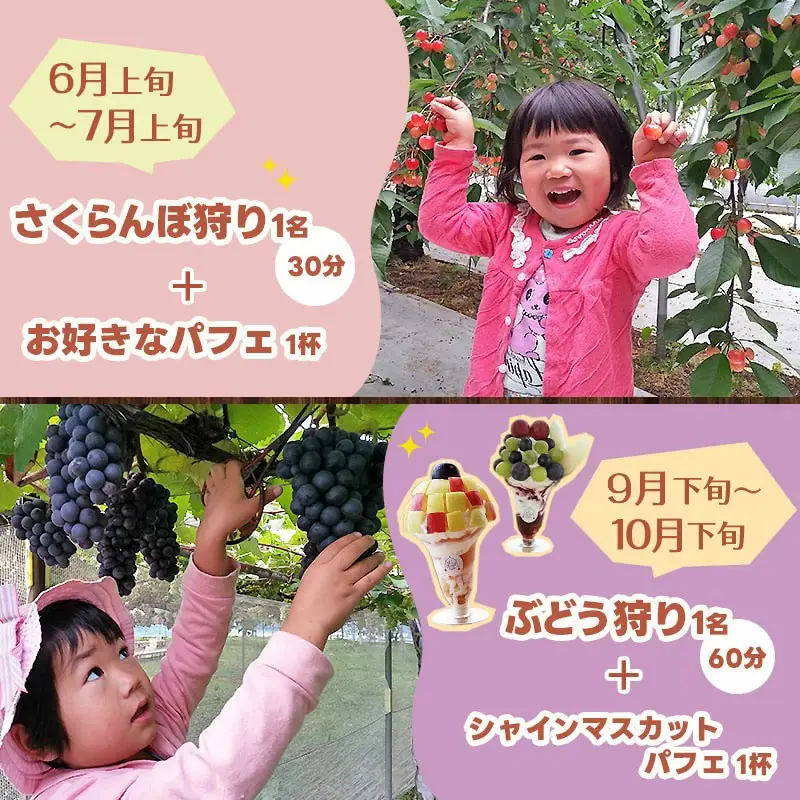王将果樹園 & カフェ 体験 プラン チケット くだもの狩り 山形県 天童市
