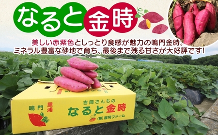 【予約受付中・2026年10月頃より順次発送】「吉岡さんちのなると金時」 Lサイズ 5kg