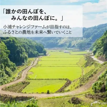 2025年産(令和7年産)!日高町小浦の無洗米「小浦れんげ米」5kg【1680206】