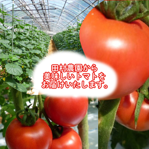 【2027年4月～発送】 トマト 2kg 大玉 秀品 2Sサイズ トマト IM