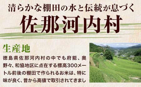 棚田米 精米 10kg 米