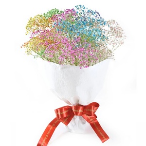 ふわふわブーケ ｜ 生花 花 ギフト ロマンチックかすみ草 七色 輝く カスミソウ カスミ草 かすみそう お祝い プレゼント カラフル 花束 おしゃれ