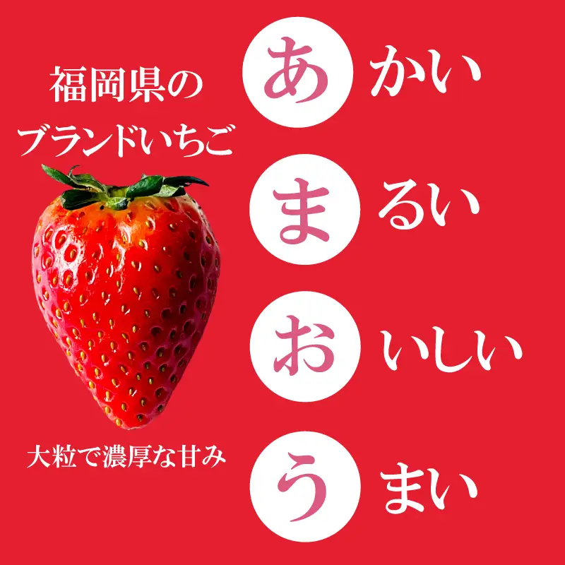 【2027年1月発送】 苺 あまおう 540g (270g×2P) いちご | あまおう OKI