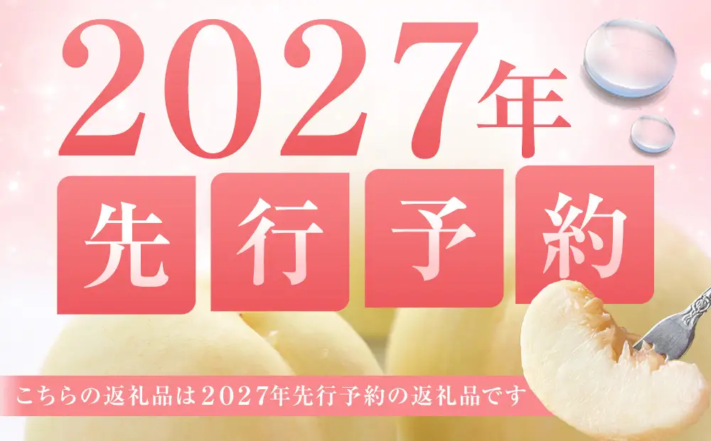 岡山市産 清水白桃 ご家庭用 大玉3玉＜2027年7月中旬～8月上旬頃出荷＞  