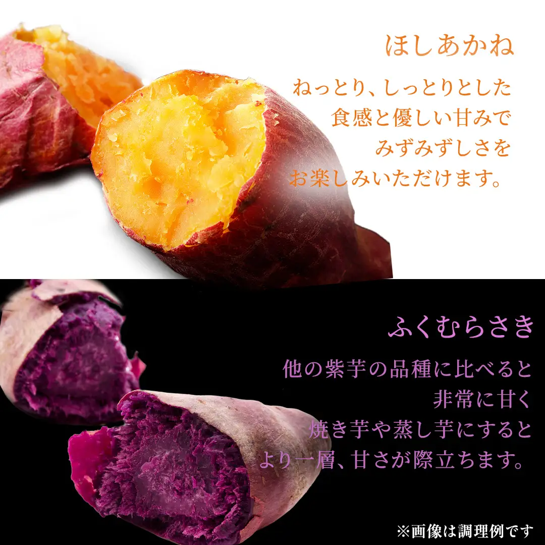 さつまいも 【 ふくむらさき ・ ほしあかね 】 5kg ( 箱込 )の 2箱セット