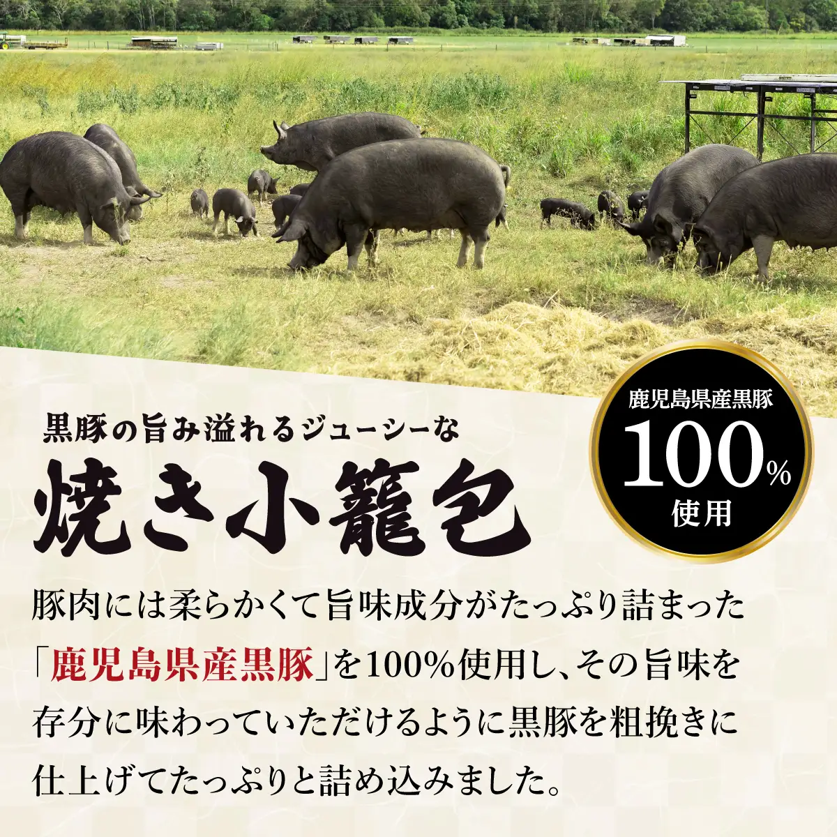 芦屋伊東屋 黒豚のジューシー焼き小籠包4袋セット