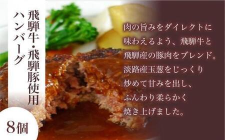 キッチン飛騨 ハンバーグ ＆ ソーセージ セット（2種 計12個）| ハンバーグ CQ023VC13