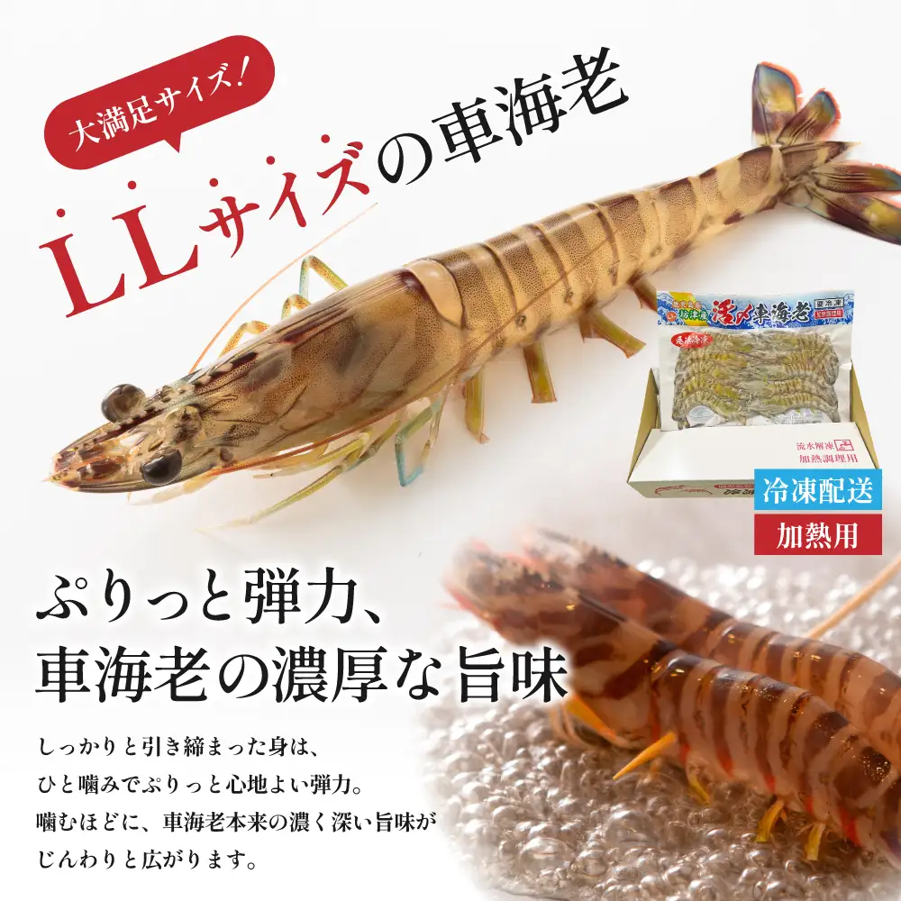 【鹿児島県産】冷凍 車海老 LLサイズ 300g （加熱用） 車エビ 車えび くるまえび 海老 エビ えび 海の幸 海鮮 九州 国産 魚介 魚介類 真空パック 天ぷら エビフライ エビチリ 冷凍 南さつま市