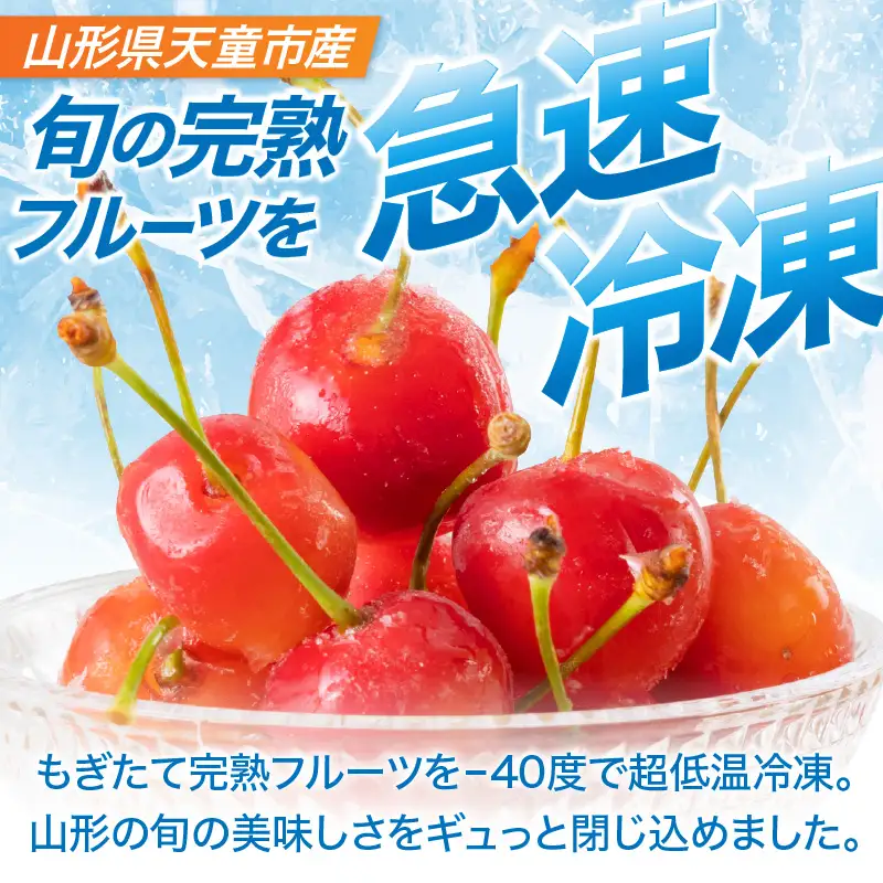 氷のめぐみ ( さくらんぼ ) 冷凍フルーツ 果物 山形 フルーツ