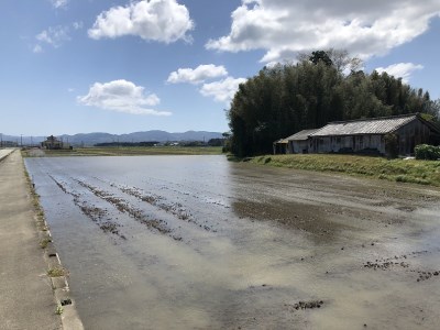 【令和8年産】新米 有機肥料100％使用！門外不出のコシヒカリ 10kg