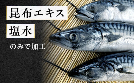 別格昆布塩さばフィレ 3kg 鯖 [BAGB001] 鯖